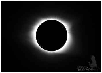 A not so good shot of me checking images during totality. Kinda dark and taken with a tablet camera.